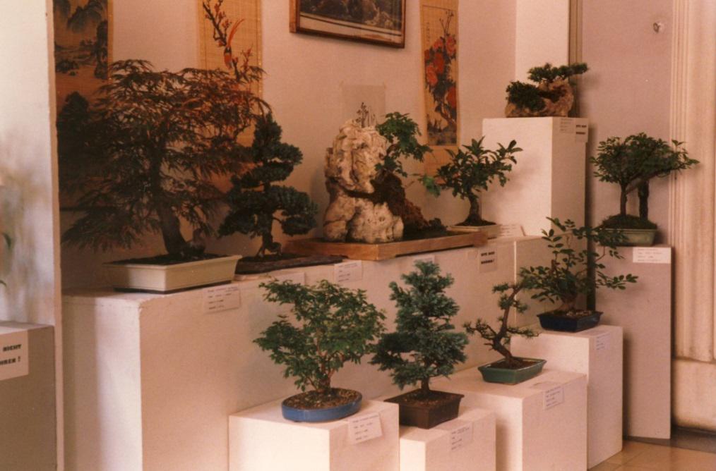 1996-stadtmuseum-2